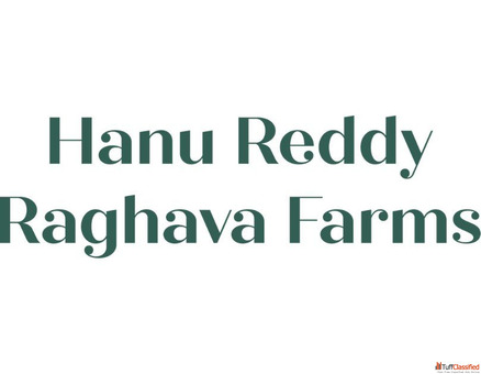 Outdoor Venues in Chennai Elegant Event Spaces by Hanu Reddy Raghava Farms