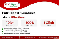Bulk PDF Digital Signature Software