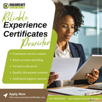 Experience Certificates Provider in Lucknow