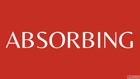 Absorbing - Trendy Western Wear Fashion Brand for Women in India