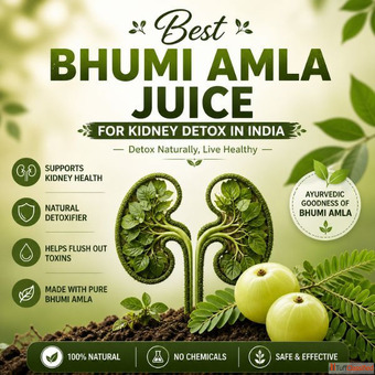 Natural Bhumi Amla Juice Benefits for Daily Wellness