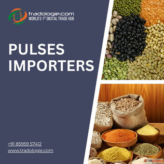 Black Eyed Peas Cowpeas Supplier Buy Premium Quality Lobia in Bulk
