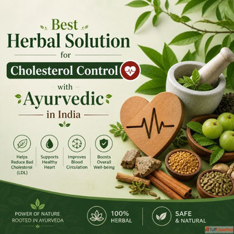 Best Ayurvedic Juice for Cholesterol Control in India