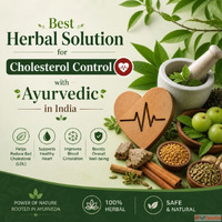 Best Ayurvedic Juice for Cholesterol Control in India