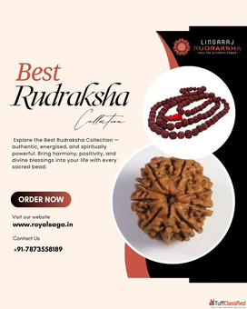 Rudraksha Shop in Kolkata - Lingaraj Rudraksha