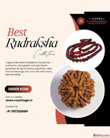 Rudraksha Shop in Kolkata - Lingaraj Rudraksha