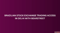 Brazilian Stock Exchange Trading Access in Delhi with BearSt...