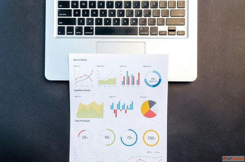Best SEO Company in Noida - Traficxo