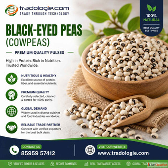 Black-Eyed Peas Cowpeas Suppliers Exporters - Buy Premium Quality in Bulk