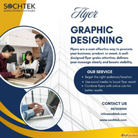 Professional Web Design and SEO Services in Chandigarh