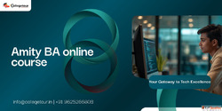 amity ba online course