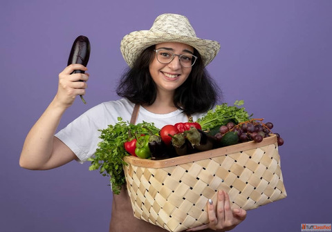Smart Gardening Tips for a Healthy and Beautiful Garden