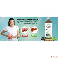 Best Ayurvedic Juice for Liver Detox in India