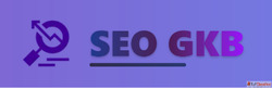 Local SEO Services for Small Businesses in Jaipur for Better...