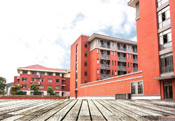 Pre-Primary Schools in Hyderabad
