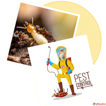 Sorna Valli Pest Control
