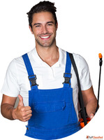 Cassini Pest Control