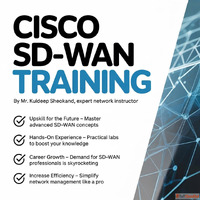 Cisco SDWAN Training and Certification
