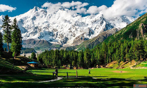 Nanga Parbat Expedition 2026 - Base Camp Trek Climbing Routes Expert Travel Guide