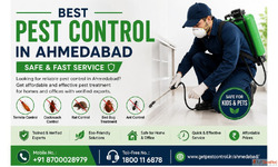 Best Pest Control in Ahmedabad Safe Fast Service