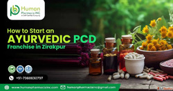 Ayurvedic PCD Franchise in Zirakpur