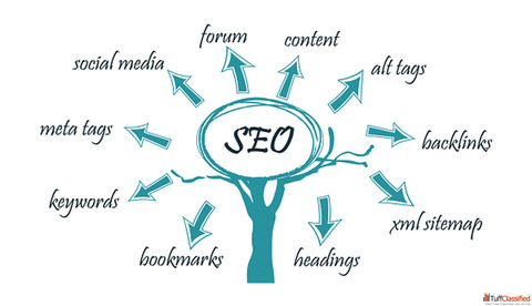 Professional SEO Services In Patna Best SEO Agency In Patna SEO Company In Patna - Digital Care