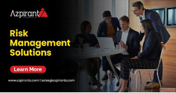 Professional Risk Management Consulting Services for Growing...