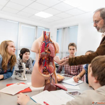 Nursing Manikin Suppliers in Andhra Pradesh
