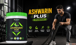 Which Protein Powder Is Best for Muscle Gain Ayurvedic Guide