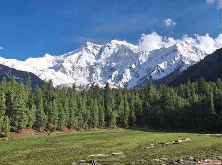 Around Nanga Parbat Trek - Full Travel Guide to Fairy Meadows Raikot Base Camp Trails