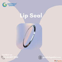 Top Lip Seal for Smooth Industrial Performance