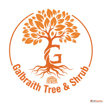 Tree Service Geneseo NY Complete Tree Care Solutions