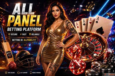 What is Allpaanel App Full Overview