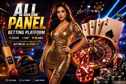 What is Allpaanel App Full Overview