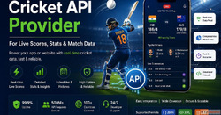 Cricket API Provider for Live Scores Stats Match Data