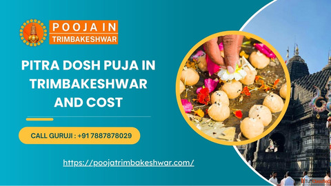 Pitra Dosh Puja In Trimbakeshwar And Cost