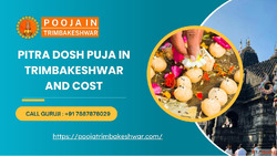 Pitra Dosh Puja In Trimbakeshwar And Cost