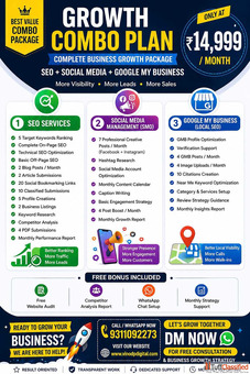 Professional SEO SMO Google My Business Services