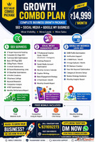 Professional SEO SMO Google My Business Services