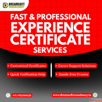 Experience Certificates Provider in Delhi