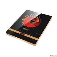 Top Induction Cooktop Manufacturer in Delhi Frendz Forever A...