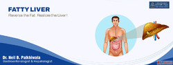 Best Food for Fatty Liver Best Gastroenterologist in Ahmedab...