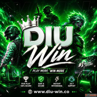 Beginner Tips and Features Available on DIU Win