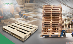 Premium Quality ISPM 15 Wooden Pallets Manufacturer - Mother...