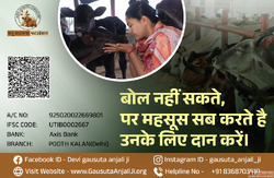 ग दन Cow Donation - सव पणय और मनवत क सबस बड करय