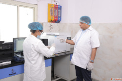Neem Oil Manufacturer in INDIA