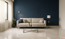 Premium Paints for Long-Lasting Walls - Indicus Paints