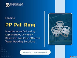 Durable PP Pall Ring Exporter for Industrial Plants
