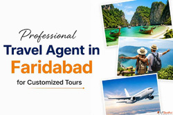 Professional Travel Agent in Faridabad for Customized Tours