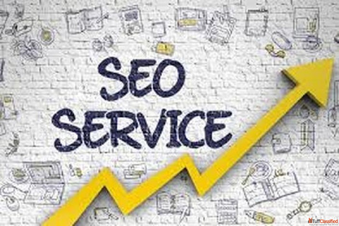 Expert Search Engine Optimization Services Delhi NCR